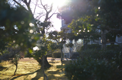 冬の光