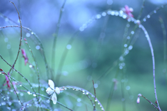 雨の日