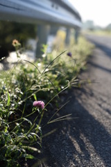なにげない朝だけど