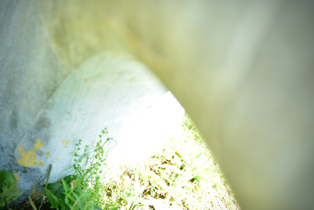 足元のgreen