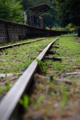 廃線のレール