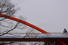 オレンジライン