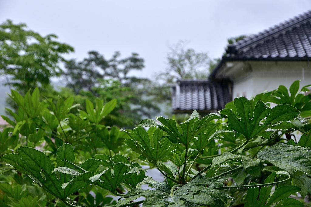 雨の日