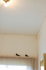 部屋の片隅