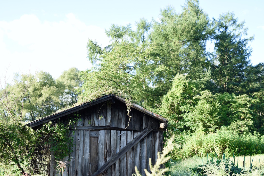 小屋
