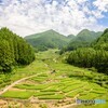 四谷千枚田