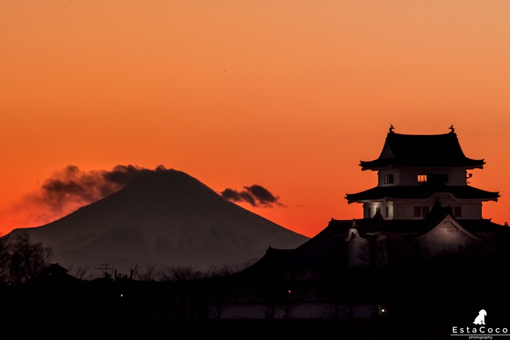 富士山とお城