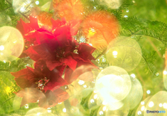 Happy Merry Christmas!