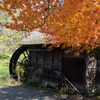 水車小屋の秋