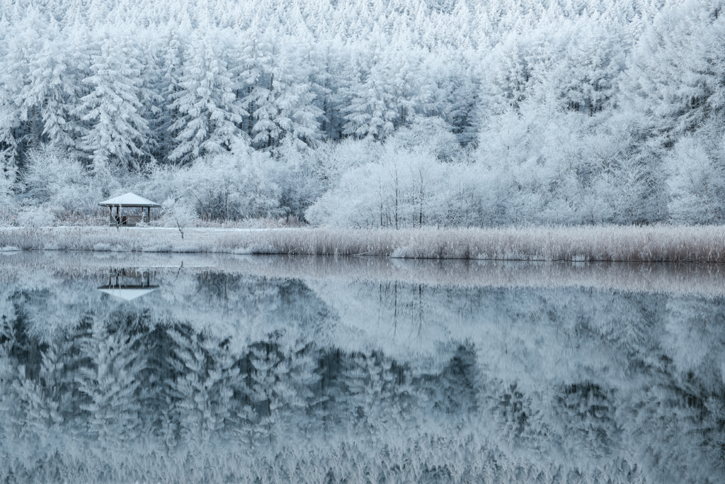 Snow reflection