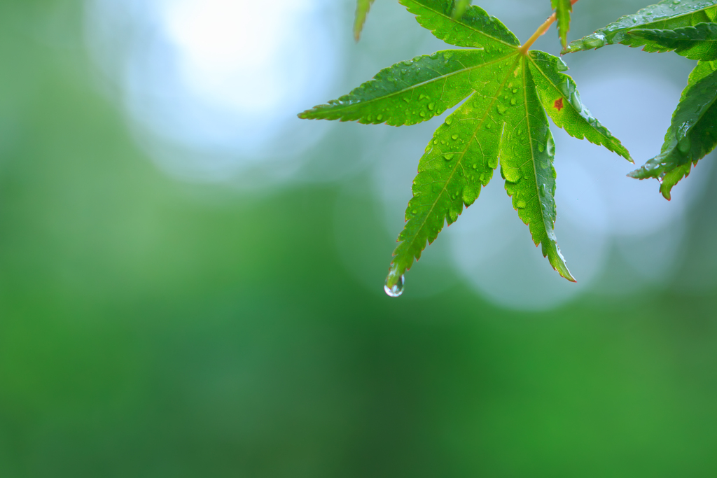 rainy day