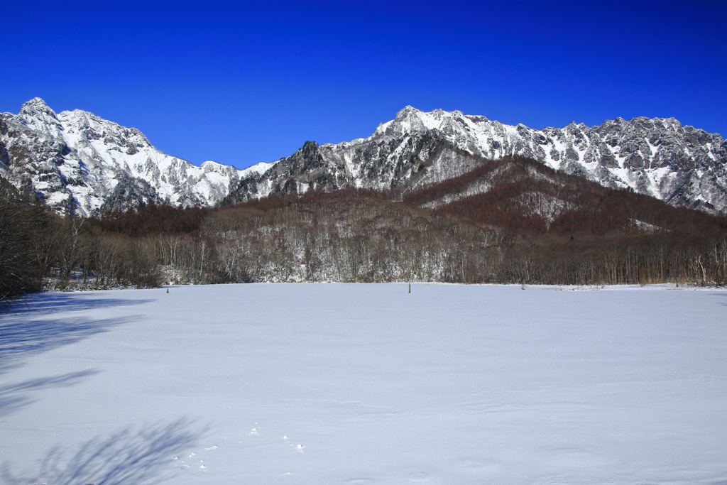 雪の鏡池