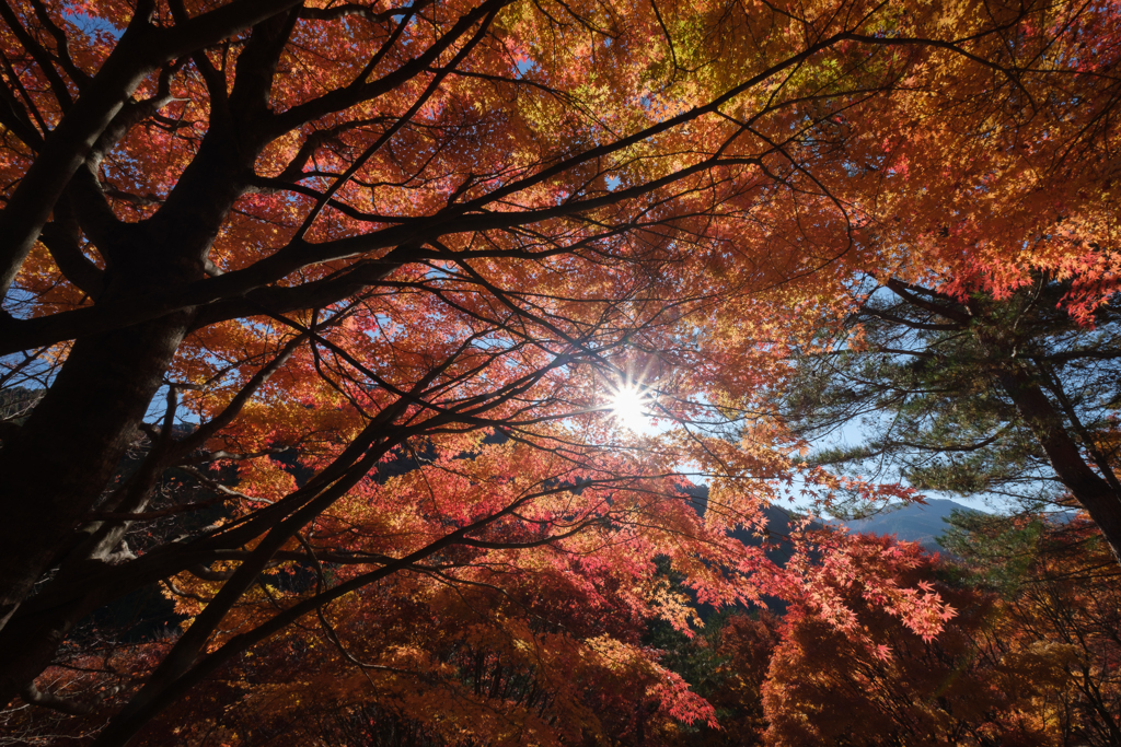 箕輪の太陽