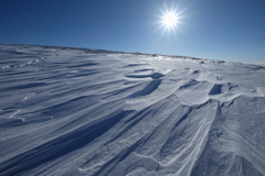 雪原の大地に