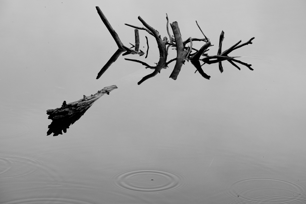 色即是空