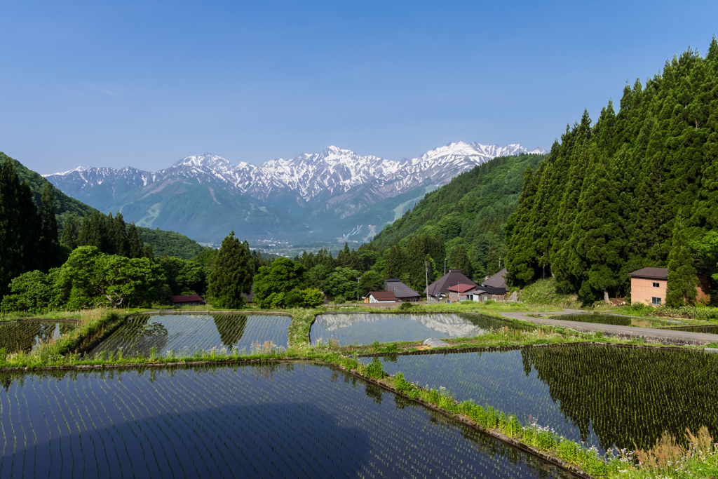 青鬼   田園風景