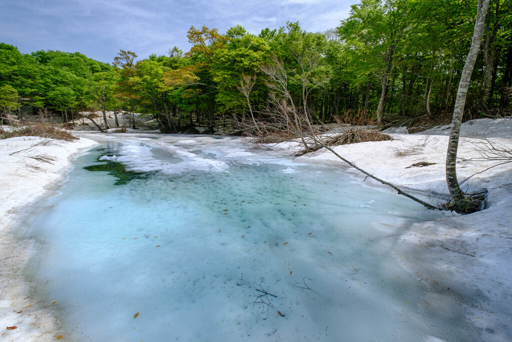 水色の池