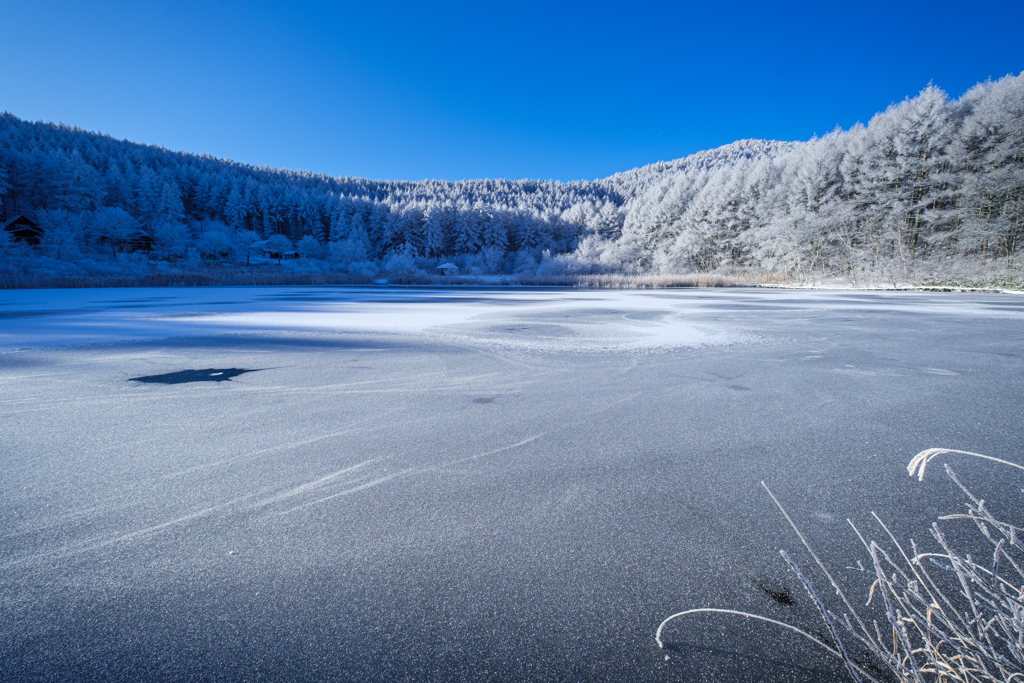 雪と氷の世界