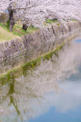 春の水辺