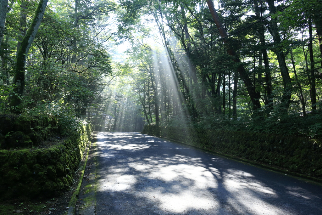 軽井沢の光芒