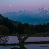 夜明けの月
