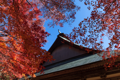 霊松寺　紅葉