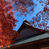 霊松寺　紅葉