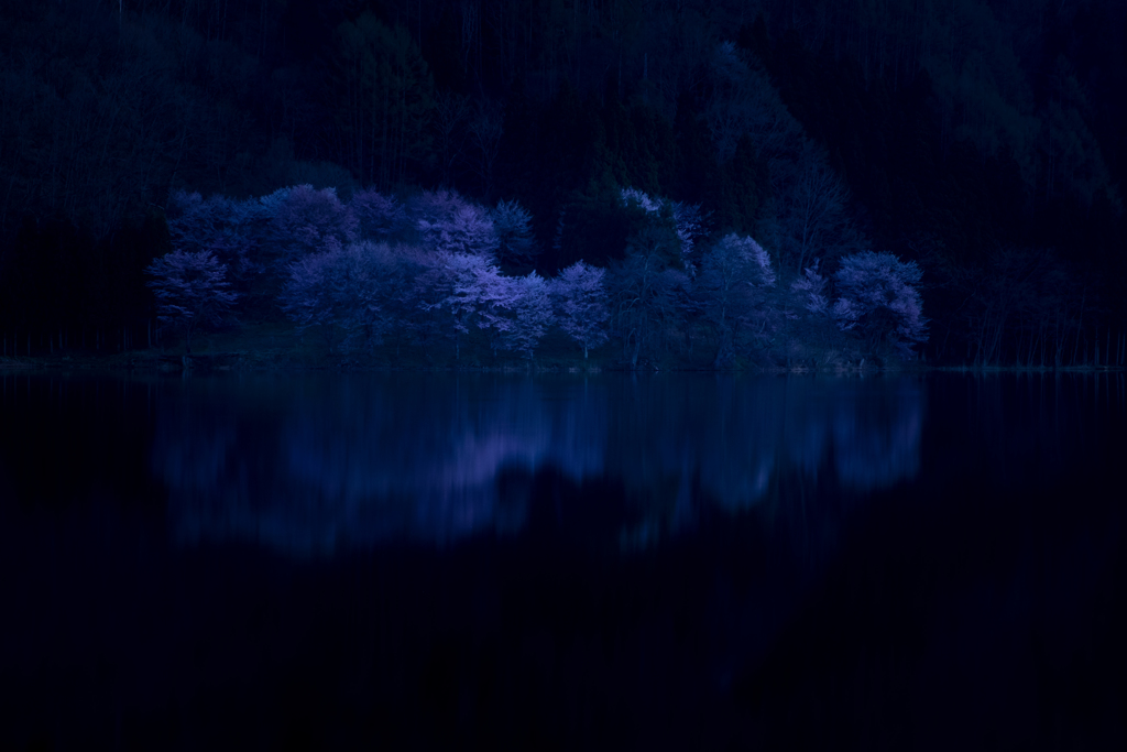蒼春