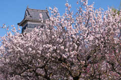 梅と天守閣