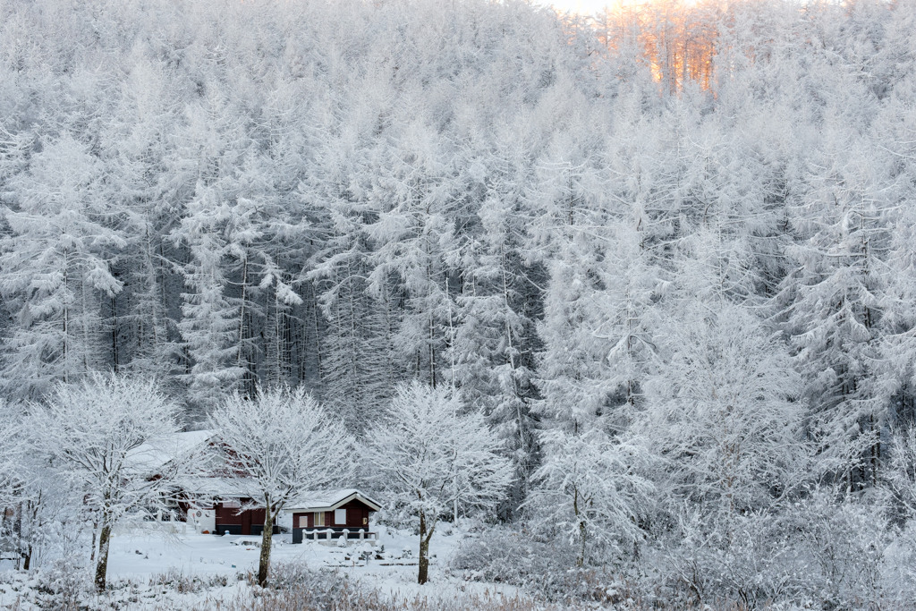 北欧の雪景色