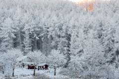 北欧の雪景色