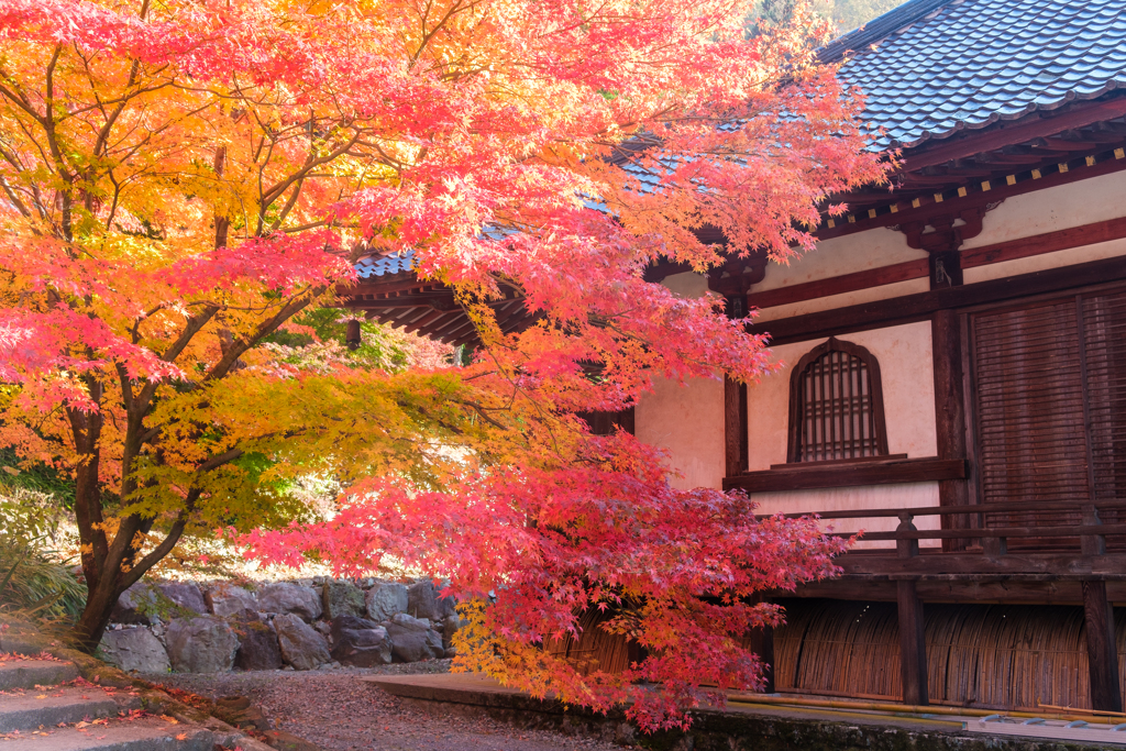 清水寺　秋色