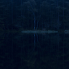 Sound  of  Silence