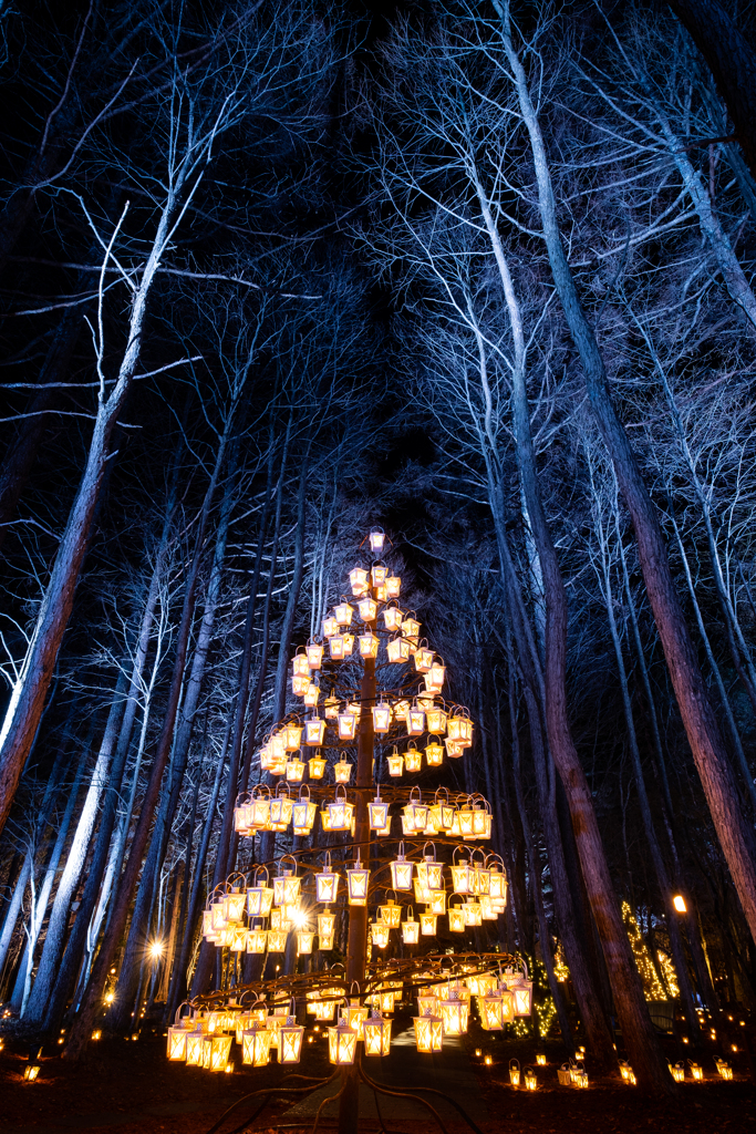 Candle tree