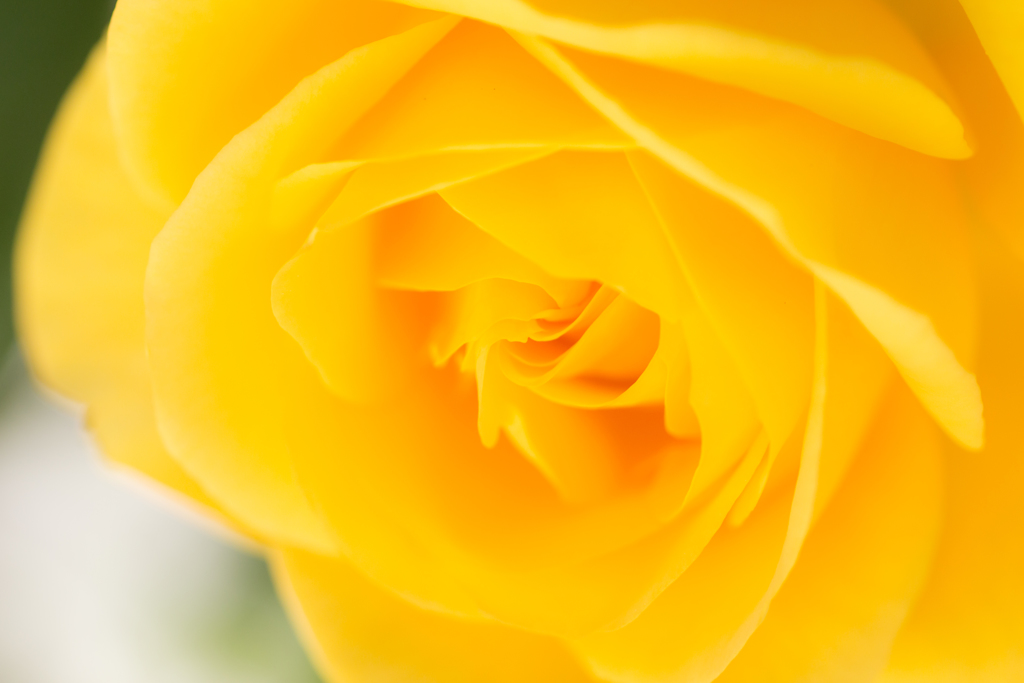 happy  yellow