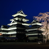 松本城　夜桜