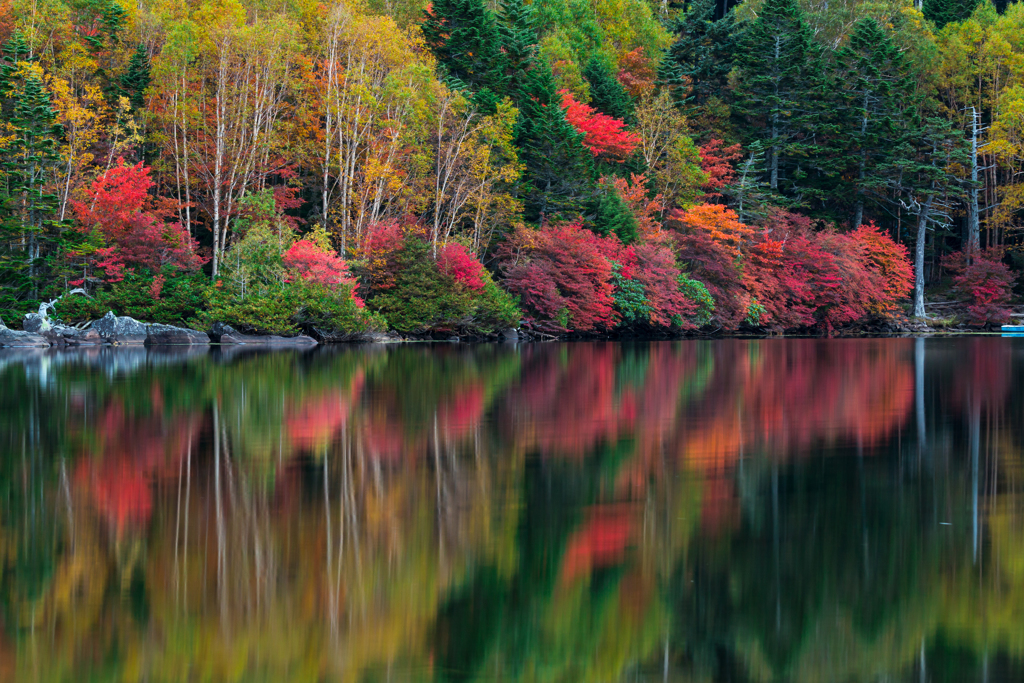 Autumn  reflection