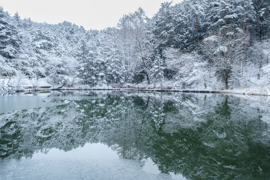 室山池　雪景色