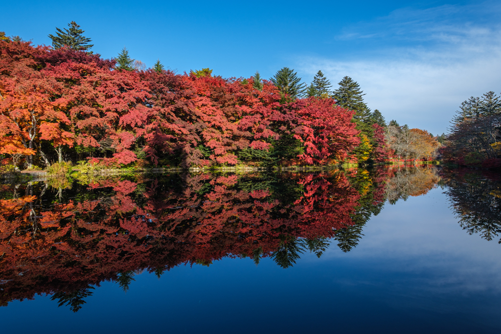 雲場池  紅葉