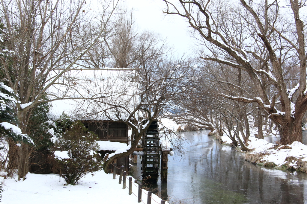 雪の安曇野