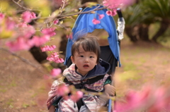 花の向こうに・・・
