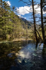 六月の清流