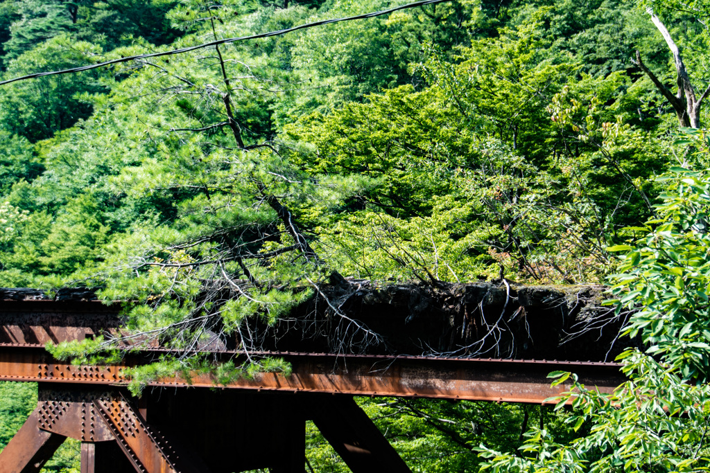 退役の鉄橋