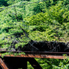 退役の鉄橋