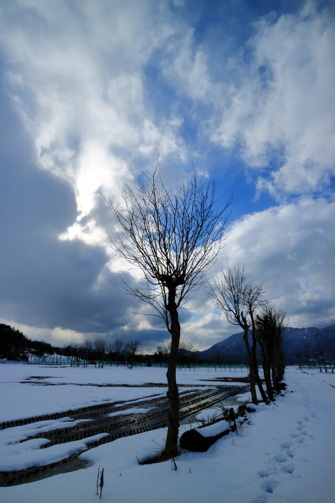 夏井の空