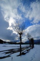 夏井の空