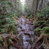 山道