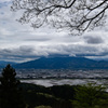 新潟の水田