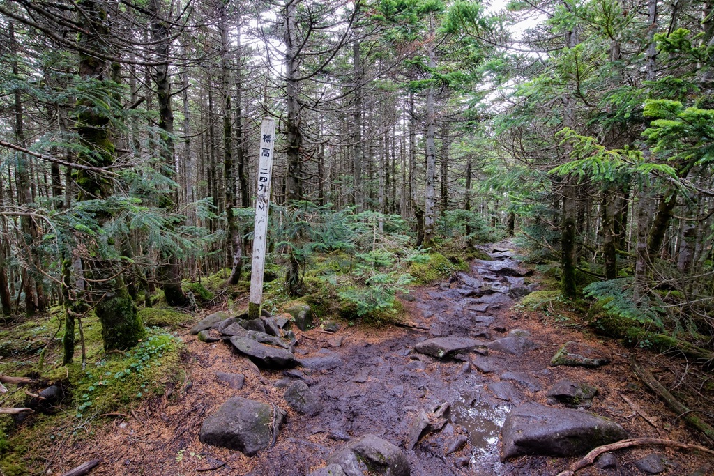 静かな山頂