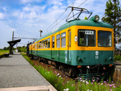 コスモス